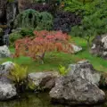 As Climate Changes, So Do Gardens Across the United States